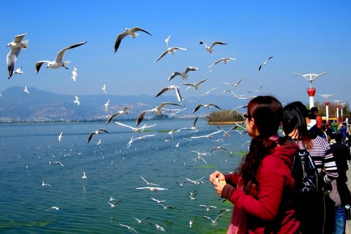 Du thuyền trên Hồ Điền Trì