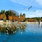 Hồ Điền Trì: Viên Ngọc Lung Linh Trên Cao Nguyên Côn Minh