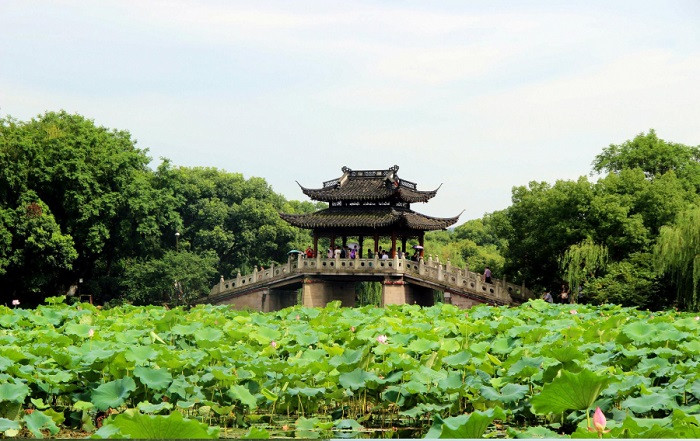 Khúc viện phong hà